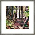 Cherokee Falls 7 Framed Print