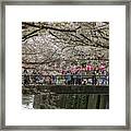 Cherry Blossom Season At Nakameguro, Tokyo, Japan Framed Print