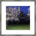 Cherry Blossoms Overlooking Washington Monument 1 Framed Print