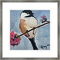 Chickadee 3 Framed Print