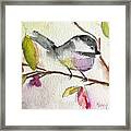 Chickadee Perched In A Tree Framed Print