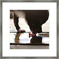 Chihuahua Dog Licking Water Off Floor Framed Print