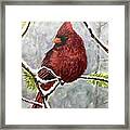 Christmas Cardinal Framed Print