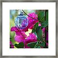 Christmas Ornament In The Bougainvillea Framed Print