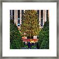 Christmas Tree, New York City Framed Print