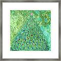 Christmas Tree With Green Background Framed Print