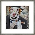 Cigar Dallas Dog Framed Print