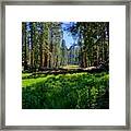 Circle Meadow Sequoia National Park Framed Print