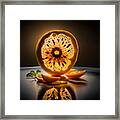 Citrus Sun I Framed Print