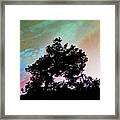 Classic Leaning Tree Framed Print