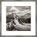 Classic Sedona Landscape - Sepia Edition Framed Print