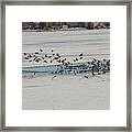Cleared To Land Framed Print