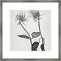 Togetherness - Two Clematices Evoking Emotional Respond Intrique Emotional Bestseller Framed Print