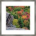 Cliff Edge And Fall Foliage #3788 Framed Print