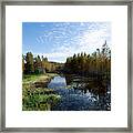 Cliff Stepens Park Is A Surprising Wetland In Clearwater Florida Framed Print