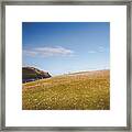 Clogher Pinkness Framed Print