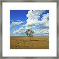 Clouds Over A Lone Tree Framed Print