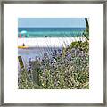 Coastal Dune Lake Blue Lupine Framed Print