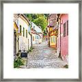 Cobblestone Lane Framed Print