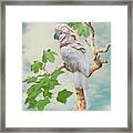 Cockatoo In Indian Ghost Tree Framed Print