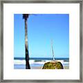 Coconut At The Beach In Bahia Framed Print