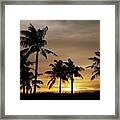 Coconut Trees At Sunset Framed Print
