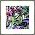 Coconuts   14x26 Framed Print