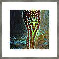 Cold Depths Stained Glass Framed Print
