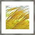 Color Of The Grass In The Wind Framed Print