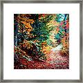 Colorful Autumn Path In The Woods Framed Print
