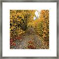Colorful Autumn Path Framed Print