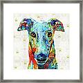 Colorful Greyhound Dog Art - Sharon Cummings Framed Print