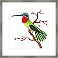 Colorful Hummingbird Day 4 Challenge Framed Print
