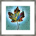 Colorful Leaf Framed Print
