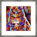 Colorful Maine Coon Cat Sitting - Digital Painting Framed Print