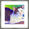 Colorful Pet Portrait - Mc The Cat Framed Print