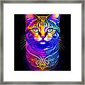 Colorful Psychedelic Cat Framed Print