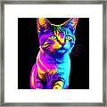 Colorful Rainbow Kitten Framed Print