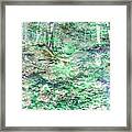 Shades Of Green Woodlands Framed Print