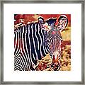 Colors Of Africa Framed Print