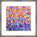 Colors Of Sally Framed Print