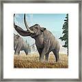 Columbian Mammoths Framed Print