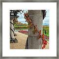 Columns With Grapevine Framed Print