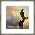 Coming Down To Earth Framed Print