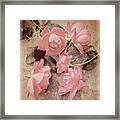Confab Of The Pink Framed Print