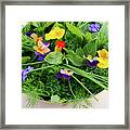 Cooking With Herbs Concept. Framed Print