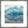 Cool Blue Forest In Brooklyn, Ny Framed Print