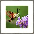 Cool Creature Framed Print