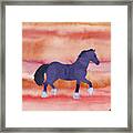 Cool Horse In A Hot Climate Framed Print