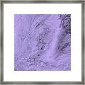 Lavender Purple Framed Print